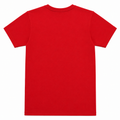 Rock Climber Graphic T-Shirt - 3D Puff Print, Colorful Holds - K-81