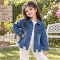 Distressed Frayed Hem Denim Jacket - K-173