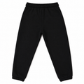 Jogger Pant With Front Side Zip back