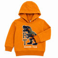 Long Sleeves Hoodie with Graphic