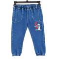 Jogger Style Denim Pant with 2 Back Pocket And Bold Print - K-123